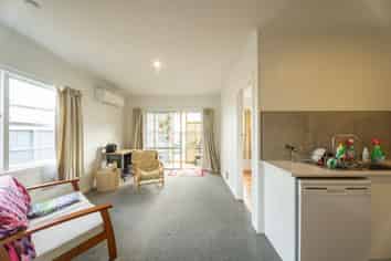 3/3 Littler Street, Hamilton East