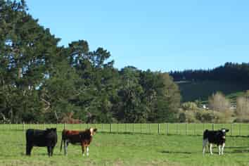 3245 State Highway 2, Takapau