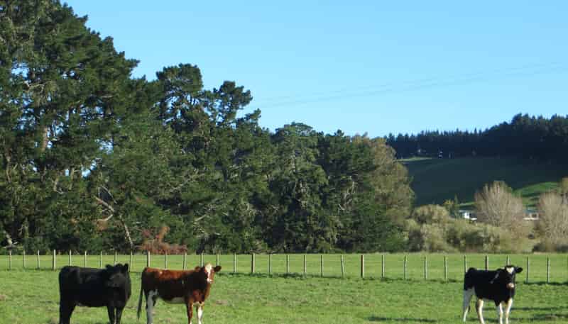 3245 State Highway 2, Takapau