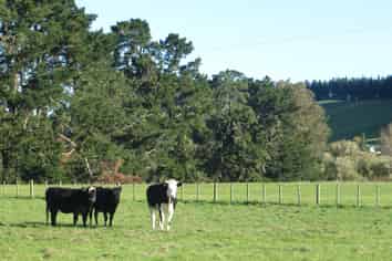 3245 State Highway 2, Takapau
