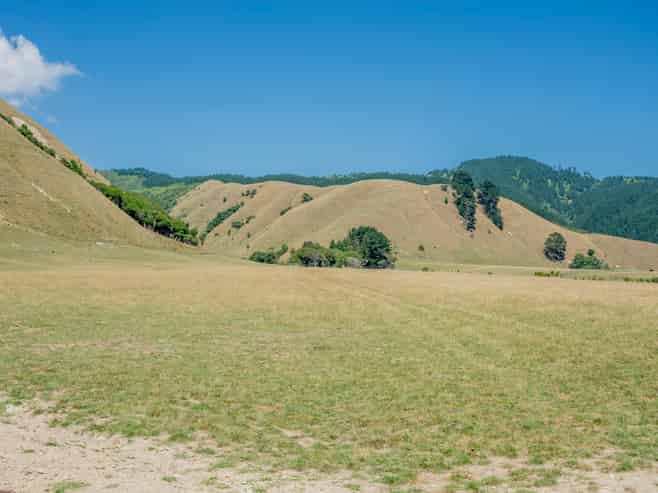 26 Best Road, Te Horo