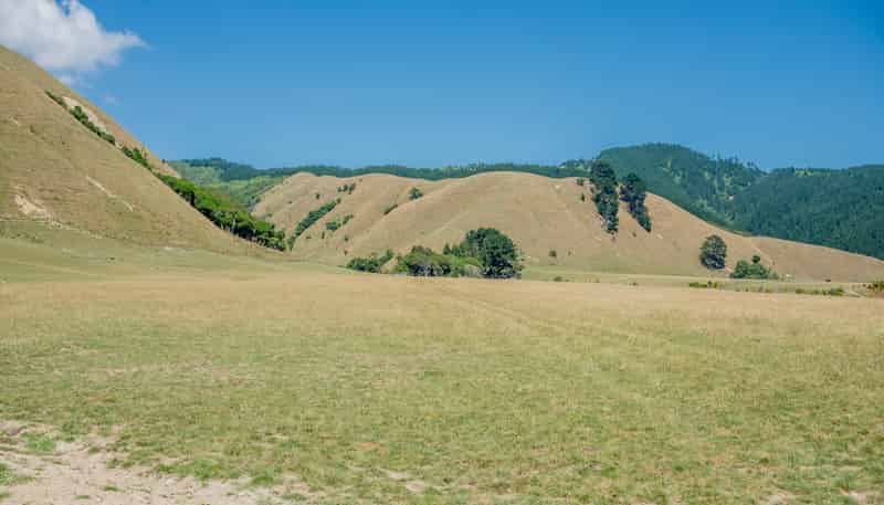 26 Best Road, Te Horo