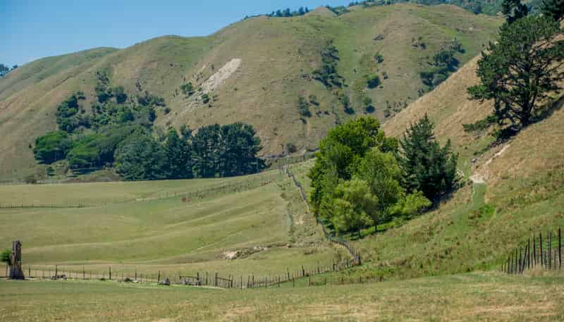 26 Best Road, Te Horo