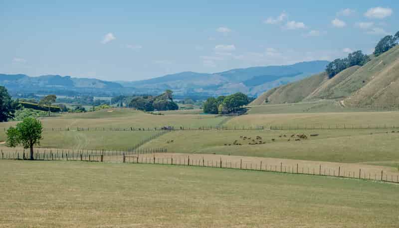 26 Best Road, Te Horo