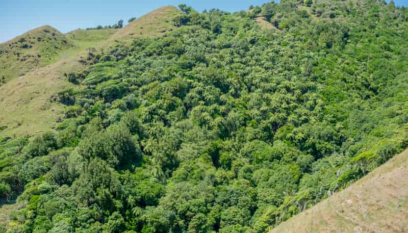 26 Best Road, Te Horo