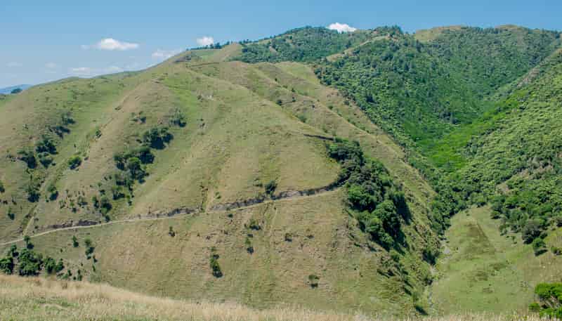 26 Best Road, Te Horo