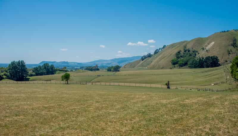 26 Best Road, Te Horo