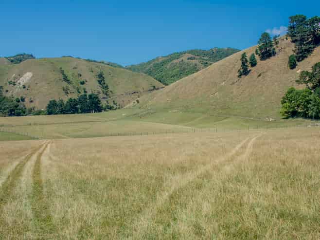 26 Best Road, Te Horo