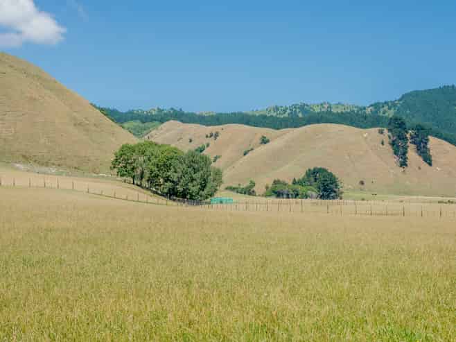 26 Best Road, Te Horo