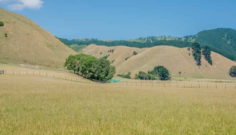 26 Best Road, Te Horo