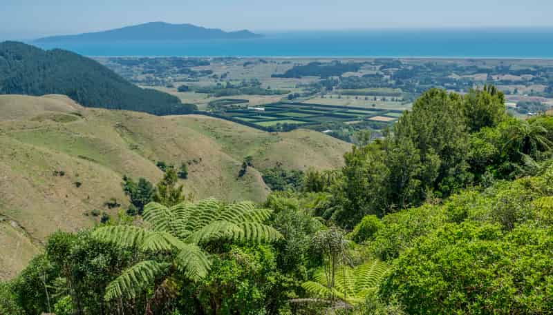26 Best Road, Te Horo