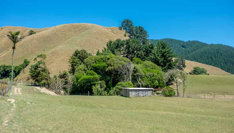 26 Best Road, Te Horo
