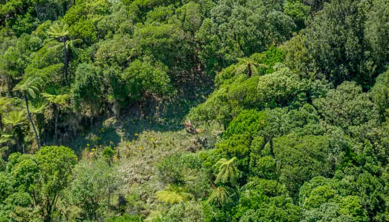 26 Best Road, Te Horo
