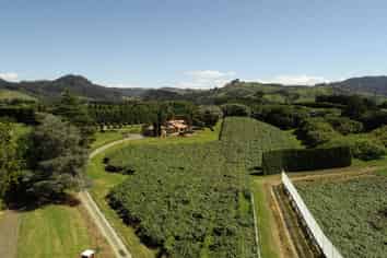 6A Woodland Road, Katikati