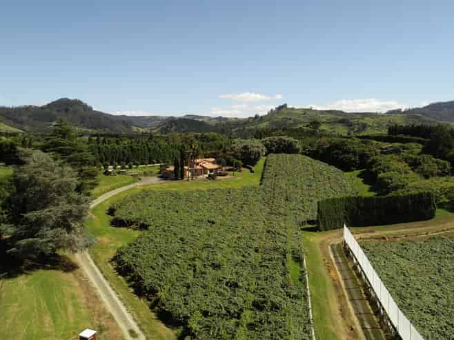 6A Woodland Road, Katikati