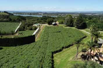 6A Woodland Road, Katikati