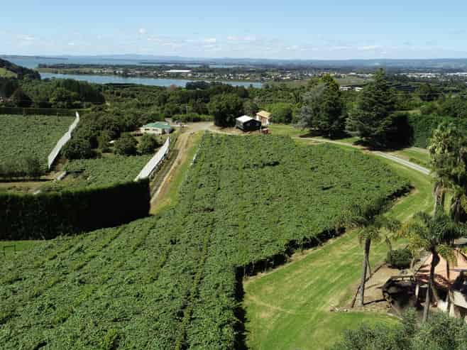 6A Woodland Road, Katikati