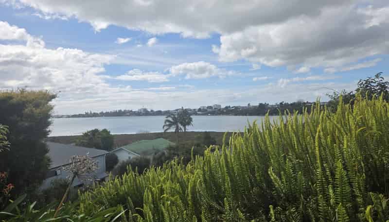 41 Judea Road, Judea