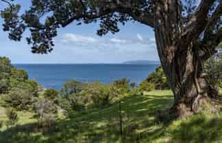216 Matapaua Bay Road, Opito Bay