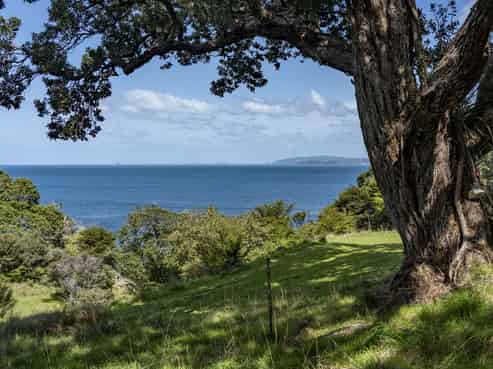 216 Matapaua Bay Road, Opito Bay