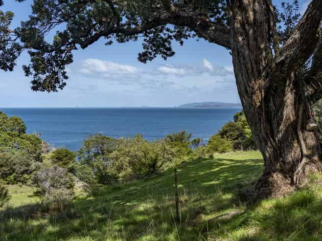 216 Matapaua Bay Road, Opito Bay