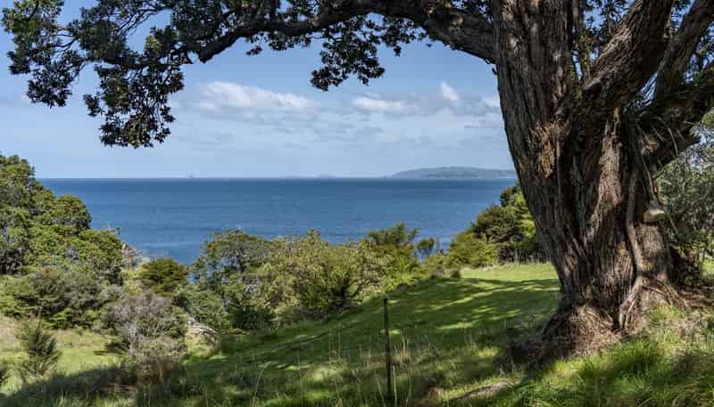 216 Matapaua Bay Road, Opito Bay