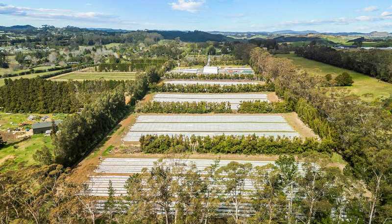 126 Wiroa Road, Kerikeri