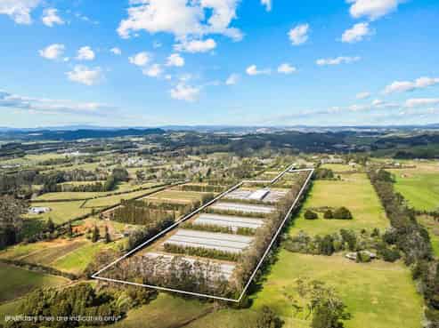  

Prime Kerikeri Industrial Compound + Land +...