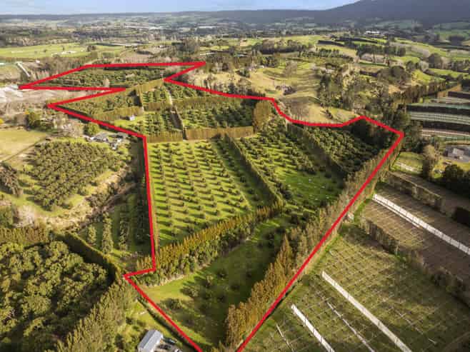 44 Walker Road West, Katikati