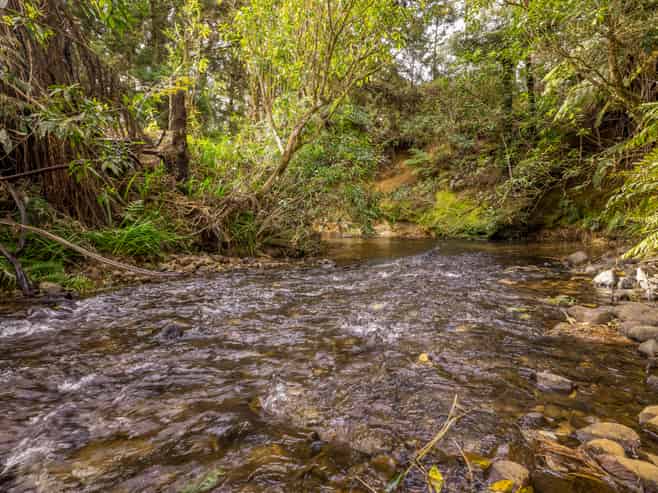 44 Walker Road West, Katikati