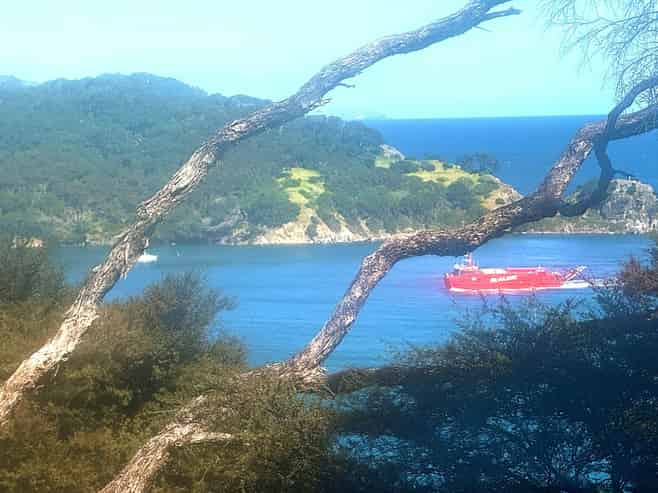 352 Shoal Bay Road, Great Barrier Island