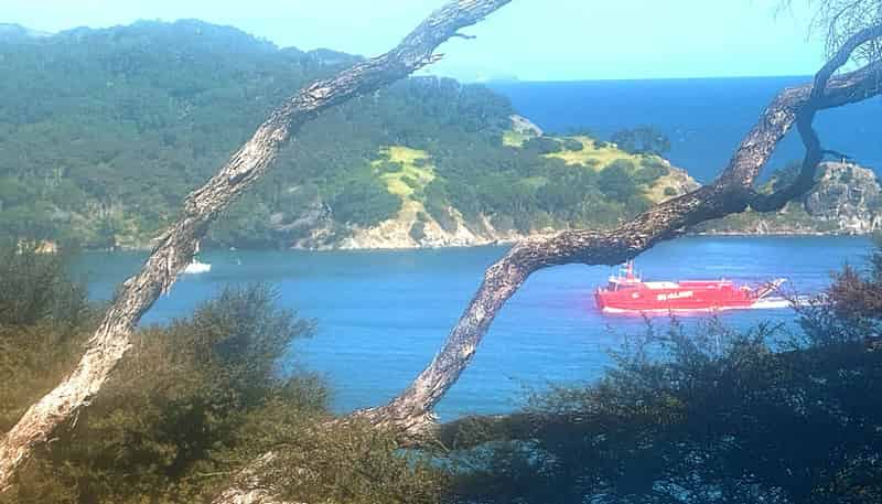 352 Shoal Bay Road, Great Barrier Island