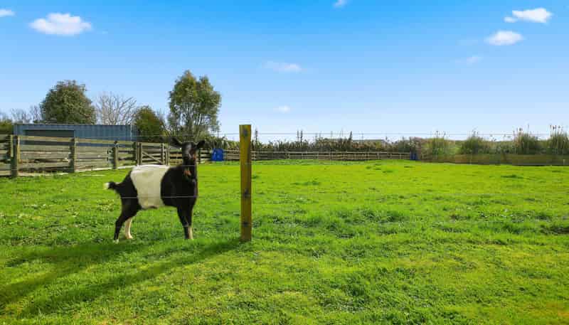 36B Kio Kio Station Road, Otorohanga