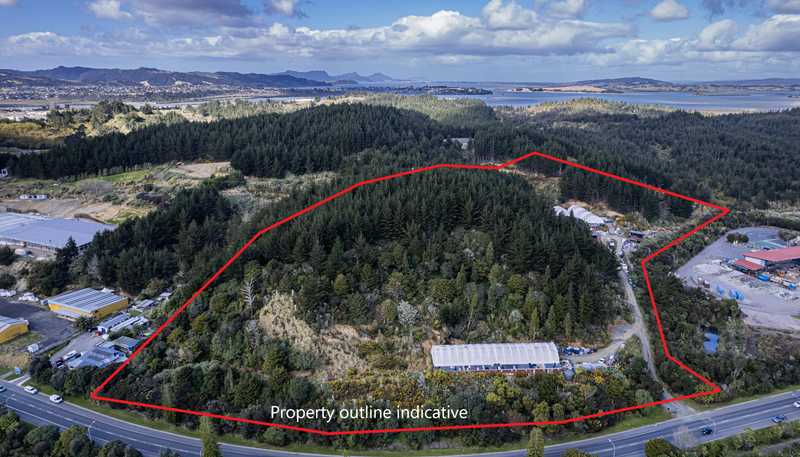 169 Kioreroa Road, Whangarei