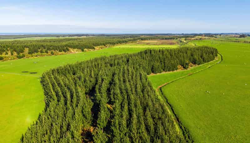  Marangai Road, Whangaehu