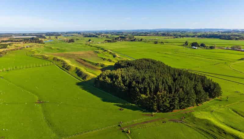  Marangai Road, Whangaehu