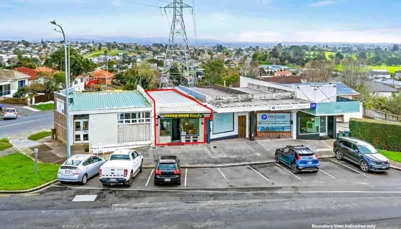 113 Oakdale Road, Mount Roskill