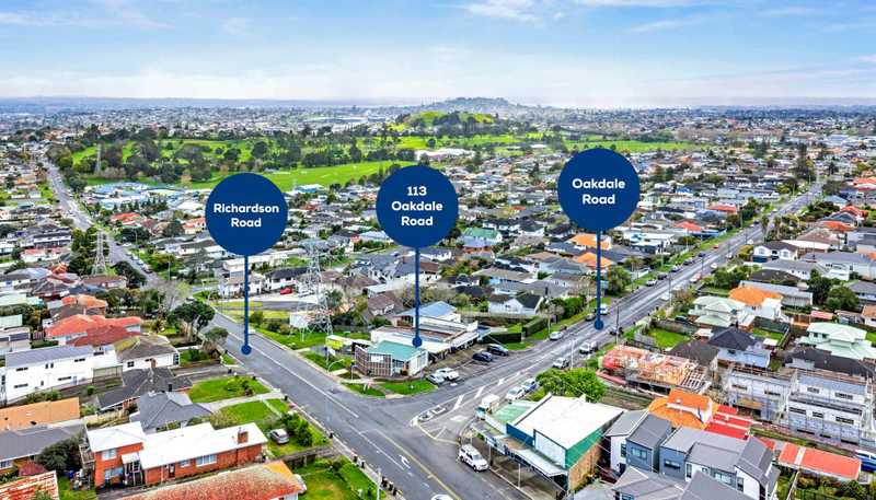 113 Oakdale Road, Mount Roskill