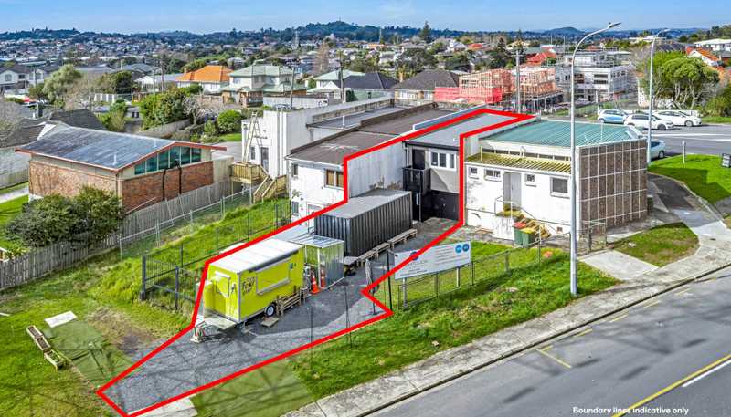 113 Oakdale Road, Mount Roskill