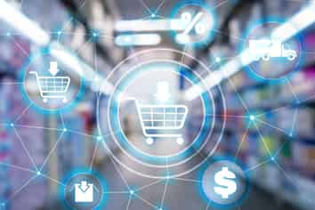 Fully Managed - Importer and Online Distributor