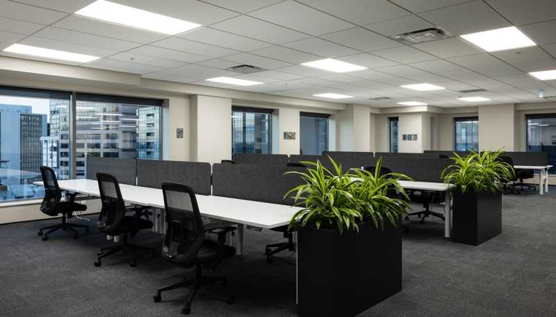 66 Wyndham Street, Auckland Central