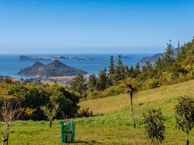 107 Paul Road, Tairua