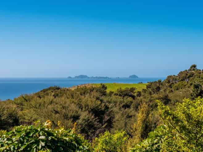 107 Paul Road, Tairua