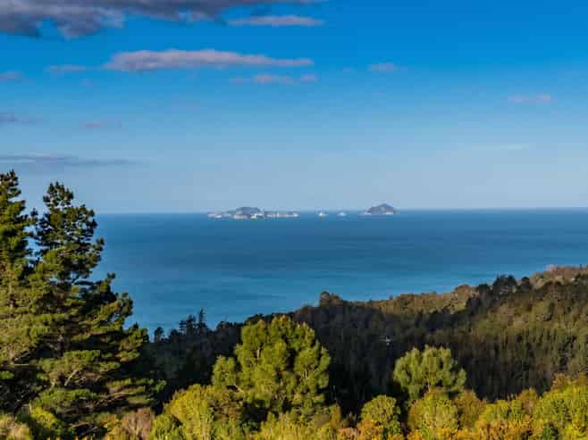 107 Paul Road, Tairua