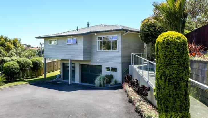 233B Carrington Street, Vogeltown