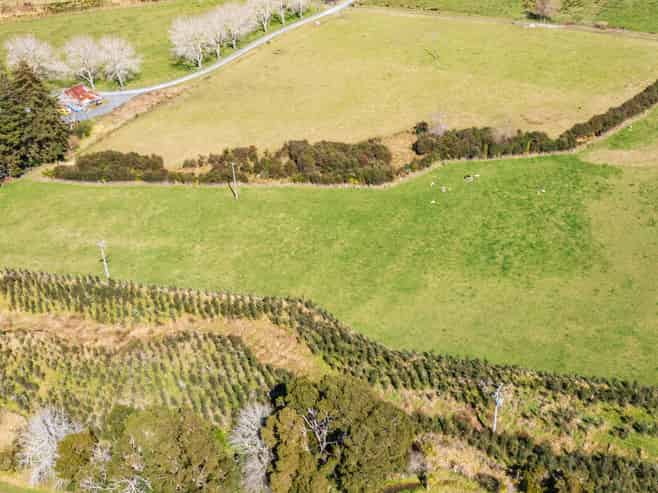 369 Matakana Valley Road, Matakana