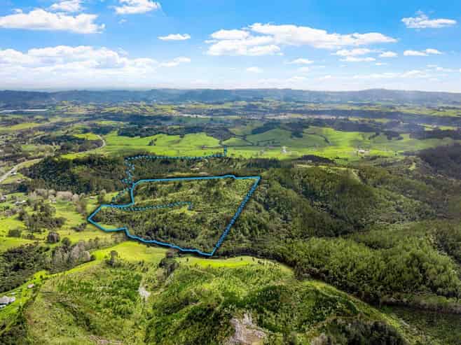 Lot 3 Radiata Road, Warkworth