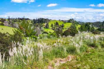 Lot 3 Radiata Road, Warkworth