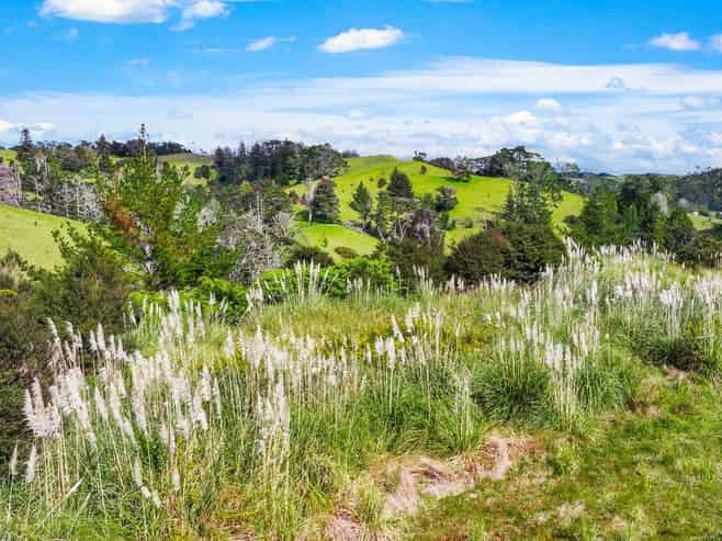 Lot 3 Radiata Road, Warkworth