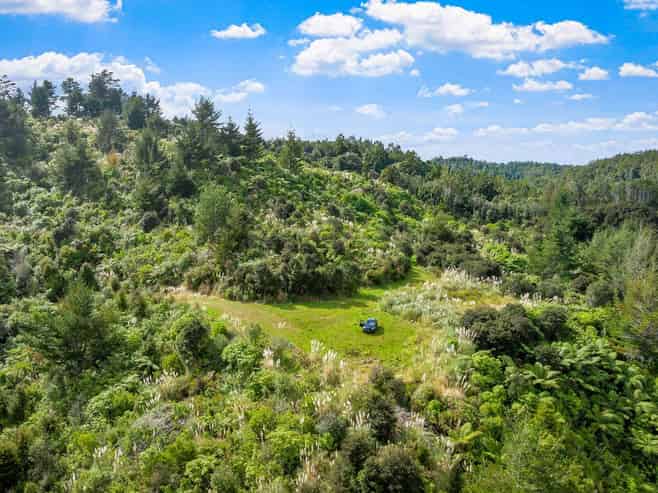 Lot 3 Radiata Road, Warkworth